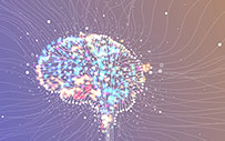 An illustration of a brain styled like a circuit board.